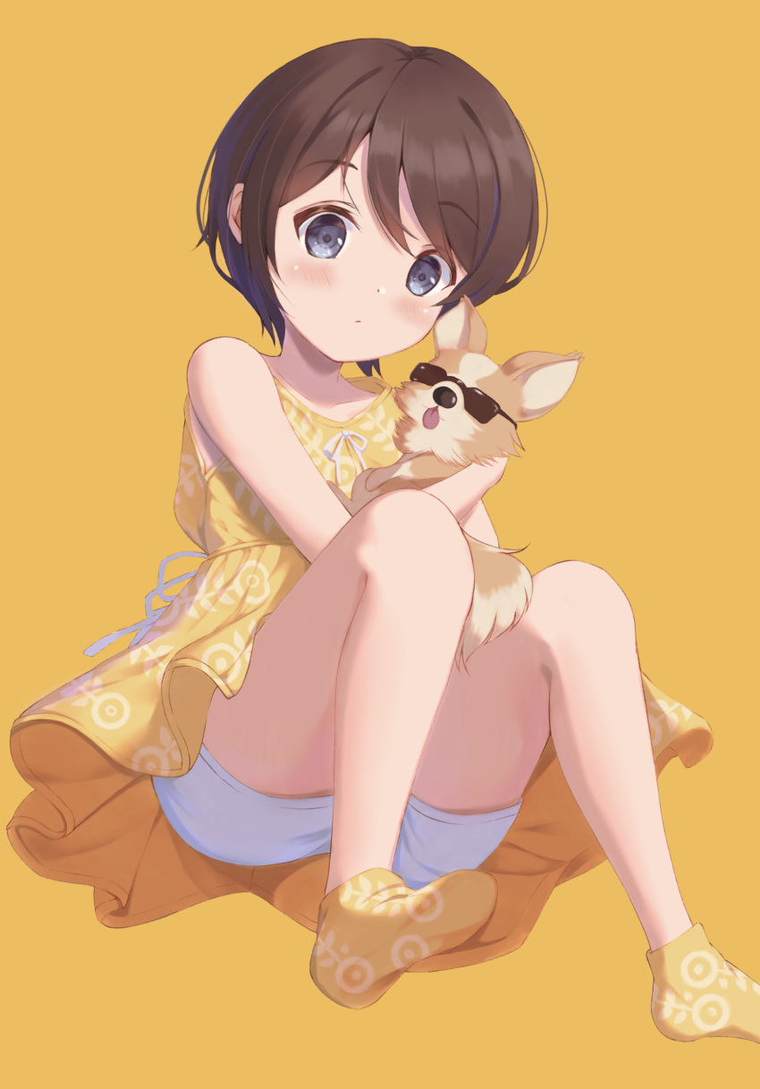 1girl animal black_eyes blush brown_hair chihuahua chikuwa_(yurucamp) commentary dog dress file112056 highres holding_dog looking_at_viewer patterned_clothing saitou_ena short_hair short_shorts shorts shorts_under_dress simple_background sleeveless socks sundress sunglasses tongue tongue_out younger yurucamp