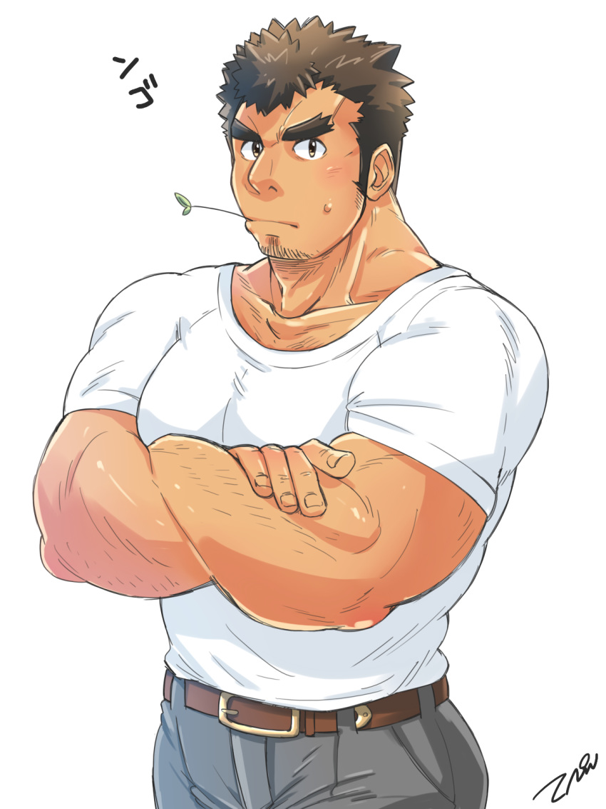 1boy bara beard blush body_hair brown_hair chest chest_hair crossed_arms facial_hair goatee highres kengo_(tokyo_houkago_summoners) looking_at_viewer male_focus manly muscle pants simple_background solo thick_eyebrows tokyo_houkago_summoners tptptpn upper_body