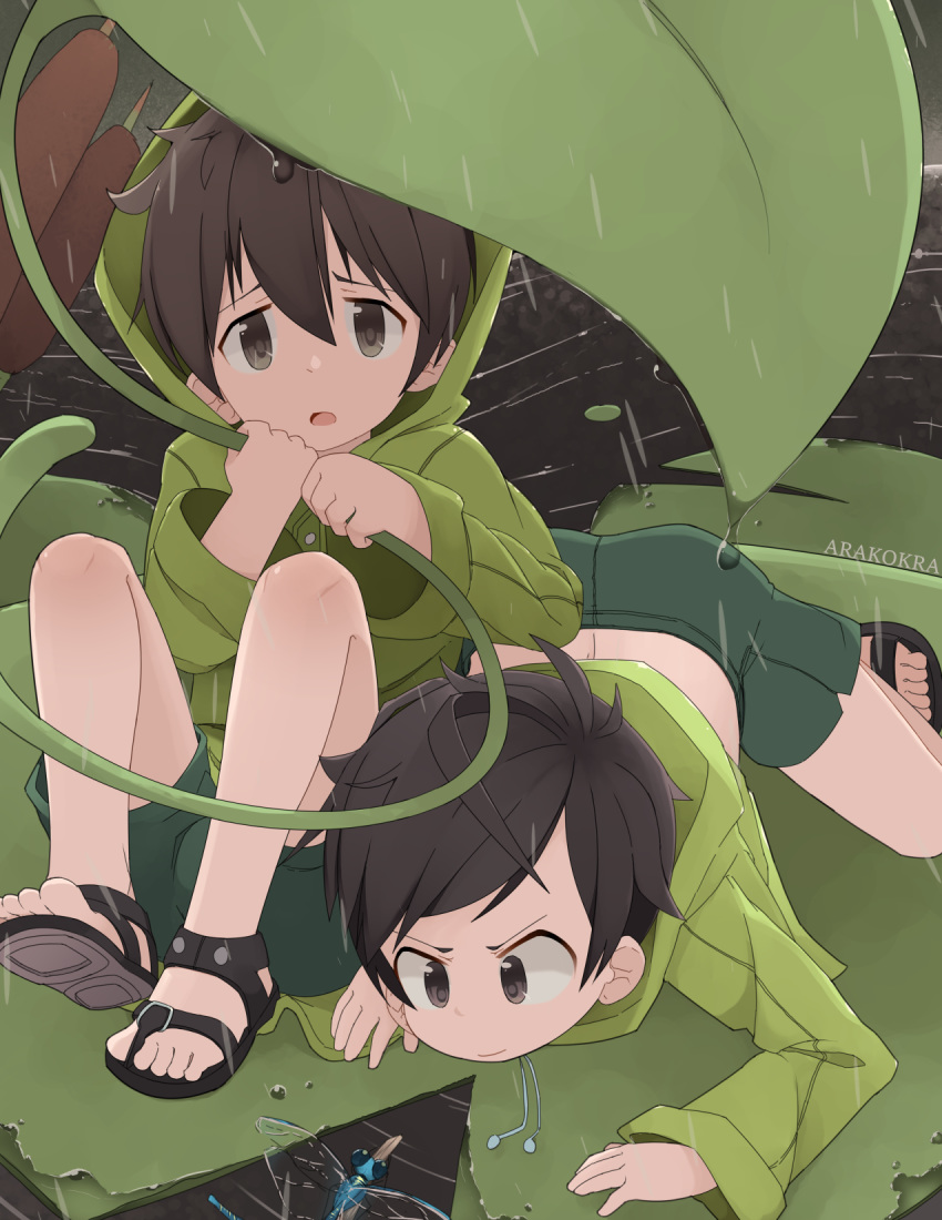 2boys all_fours arakokra artist_name brown_eyes brown_hair bug cattail child commentary dragonfly green_shorts highres insect leaf lily_pad male_focus miniboy multiple_boys original plant pond raincoat sandals shorts sitting tareme top-down_bottom-up tsurime water