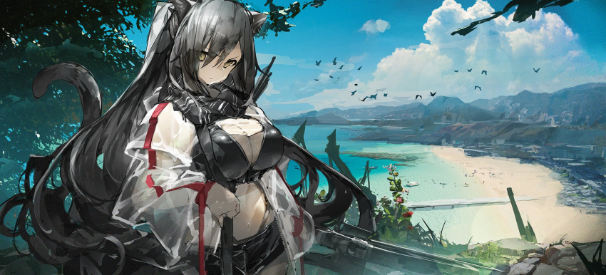 animal_ear_fluff animal_ears arknights arrow_(projectile) black_scarf black_shorts bow_(weapon) cat_ears cat_tail crop_top crossbow highres jacket long_hair long_ponytail midriff ph. scarf schwarz_(arknights) short_shorts shorts silver_hair stomach tail weapon white_jacket yellow_eyes