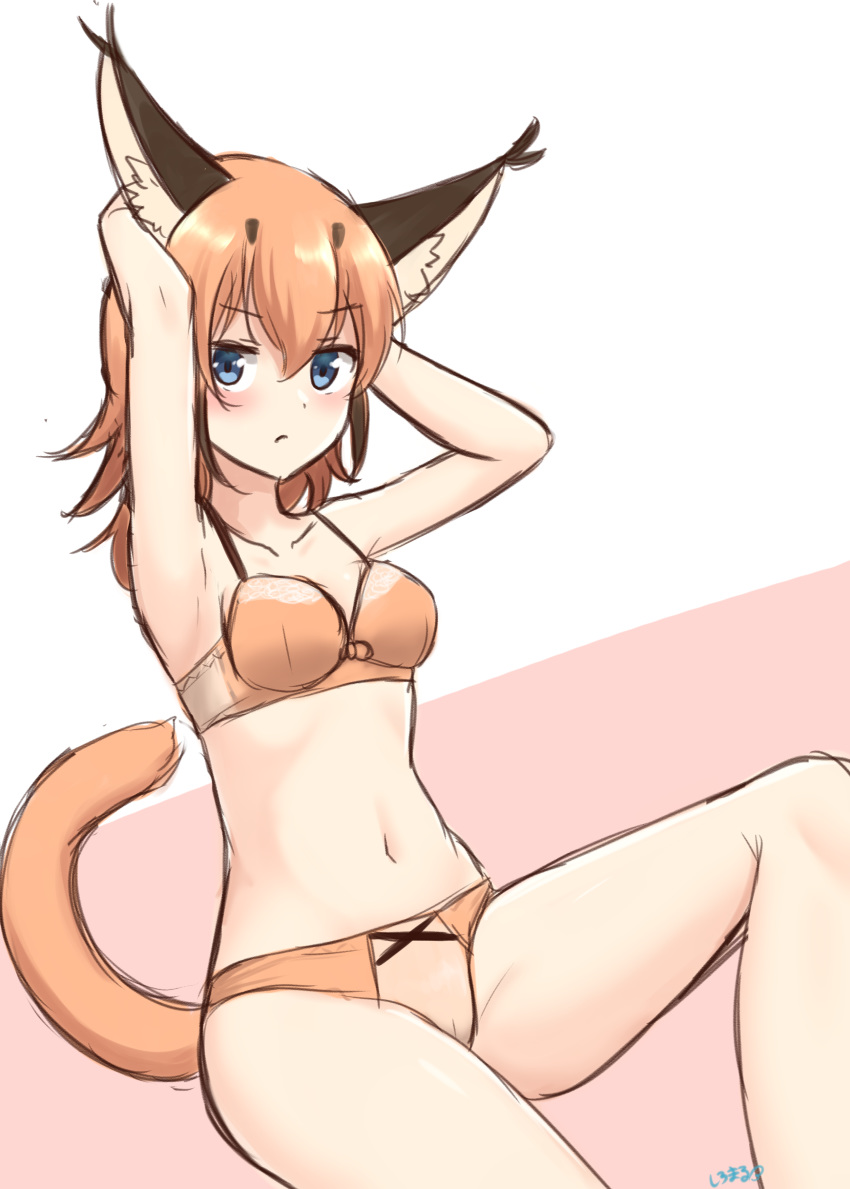 1girl absurdres animal_ear_fluff armpits arms_behind_head arms_up bangs blue_eyes blush bra breasts caracal_(kemono_friends) caracal_ears caracal_tail collarbone eyebrows_visible_through_hair frown hair_between_eyes highres kemono_friends long_hair looking_at_viewer medium_breasts navel orange_bra orange_hair orange_panties panties pink_background shiraha_maru signature simple_background sketch solo stomach tail two-tone_background underwear underwear_only white_background