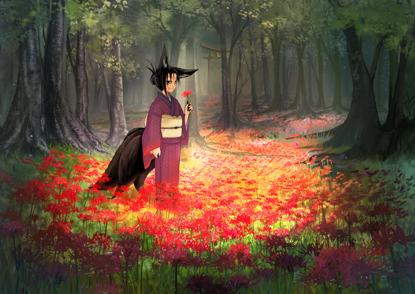 1girl animal_ears black_hair black_nails black_sclera closed_mouth doitsuken fang fang_out field fingernails flower flower_bed flower_field flower_request forest fox_ears from_side hair_bun highres holding holding_flower japanese_clothes kimono kitsune_spirit_(doitsuken) long_sleeves meadow nail_polish nature obi original outdoors purple_kimono red_flower sash sharp_fingernails smile solo spider_lily standing torii tree yellow_eyes yellow_sash