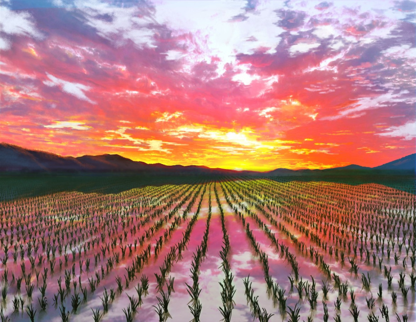 clouds cloudy_sky day doitsuken no_humans original outdoors red_sky rice_paddy scenery sky sunset