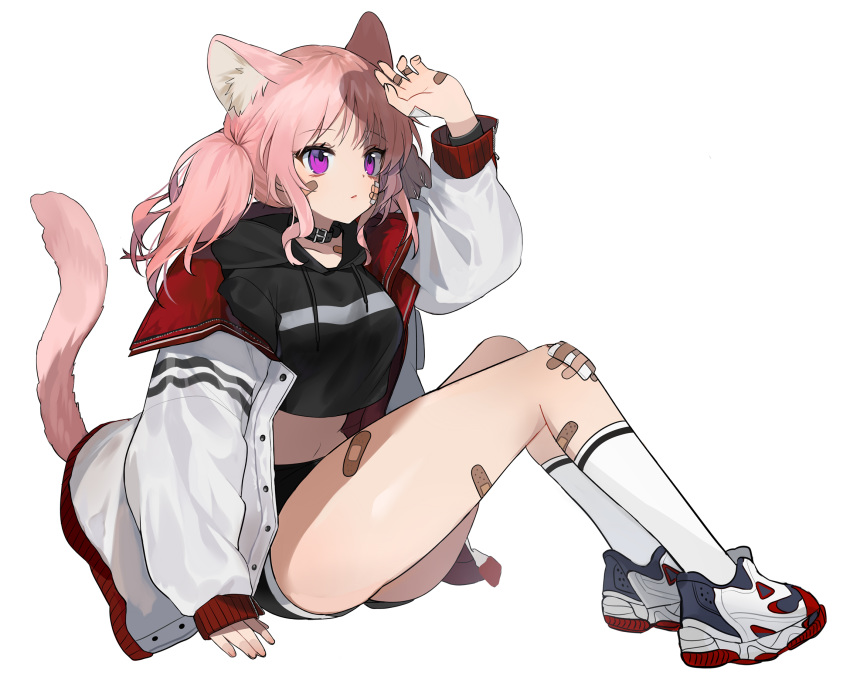 1girl animal_ears arm_up bandaid bandaid_on_knee bandaid_on_leg black_choker black_hoodie black_shorts breasts cat_ears cat_girl cat_tail choker crop_top crop_top_overhang drawstring highres hood hood_down jacket kneehighs knees_up long_hair long_sleeves looking_up medium_breasts mid_(gameshe) midriff navel off_shoulder open_clothes open_jacket original parted_lips pink_hair shoes short_shorts shorts simple_background sitting sneakers solo stomach tail tail_raised thighs twintails violet_eyes white_background white_jacket white_legwear