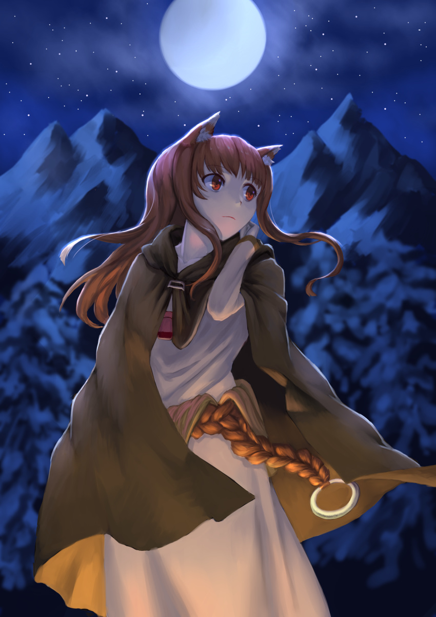 1girl absurdres animal_ear_fluff animal_ears brown_cape brown_hair cape collarbone day dress floating_hair full_moon grey_dress highres holo hood hood_down hooded long_dress long_hair looking_to_the_side moon outdoors red_eyes sky solo spice_and_wolf standing star_(sky) starry_sky wolf_ears youzi_(small_shabao)
