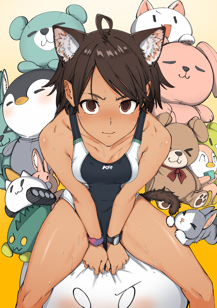 1girl absurdres ahoge animal_ears breasts brown_hair cat_ears competition_school_swimsuit competition_swimsuit ears highres kr_ohoshisama looking_at_viewer looking_up one-piece_swimsuit original short_hair sitting sitting_on_object small_breasts stuffed_animal stuffed_toy sweat swimsuit tan wet