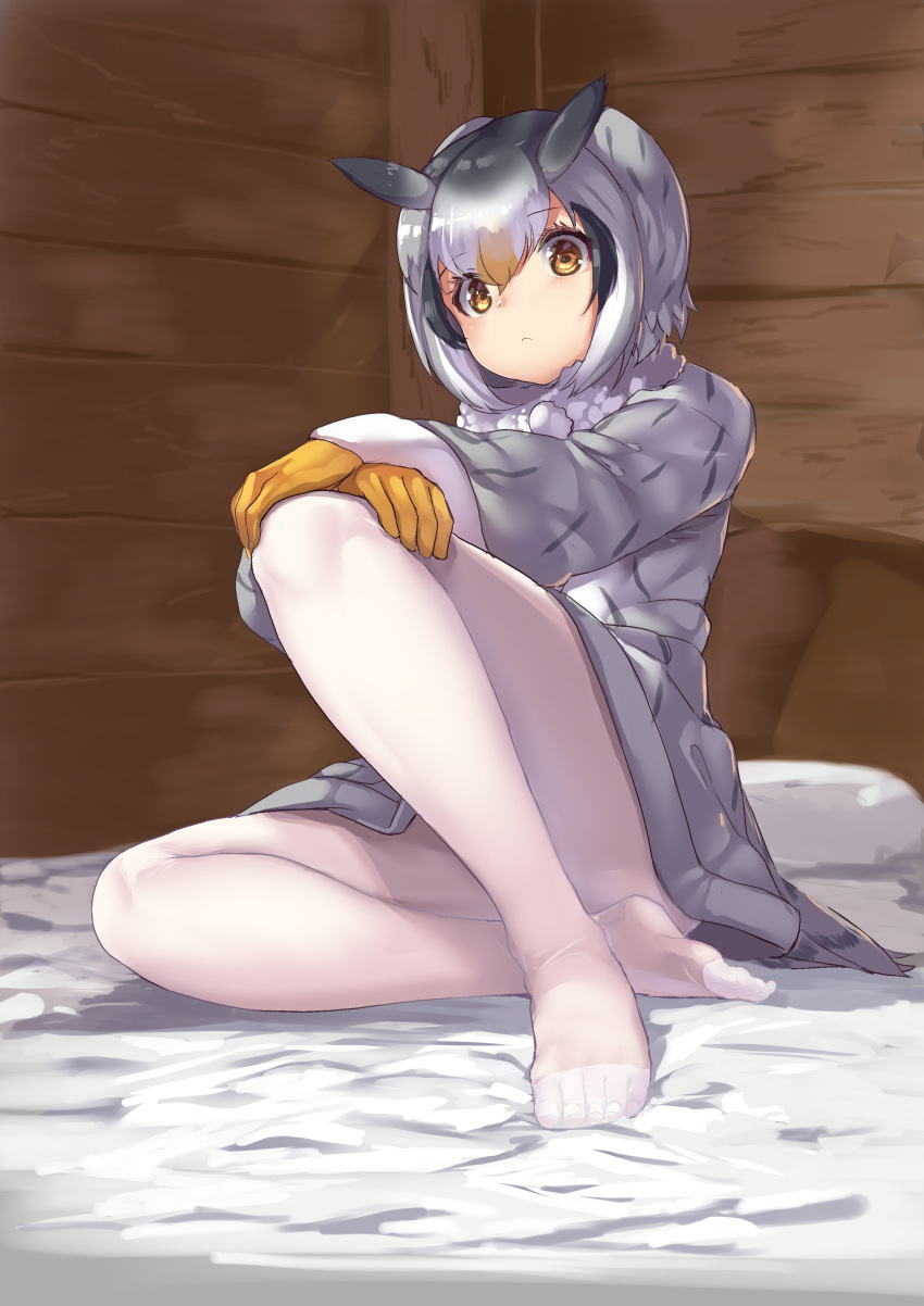 1girl absurdres bangs bed_sheet black_hair blonde_hair coat eyebrows_visible_through_hair frown fur_collar grey_coat grey_hair hair_between_eyes hand_on_own_knee highres indoors kemono_friends long_sleeves looking_at_viewer multicolored_hair no_shoes northern_white-faced_owl_(kemono_friends) on_bed pantyhose short_hair sitting solo white_hair white_legwear wooden_wall yellow_eyes