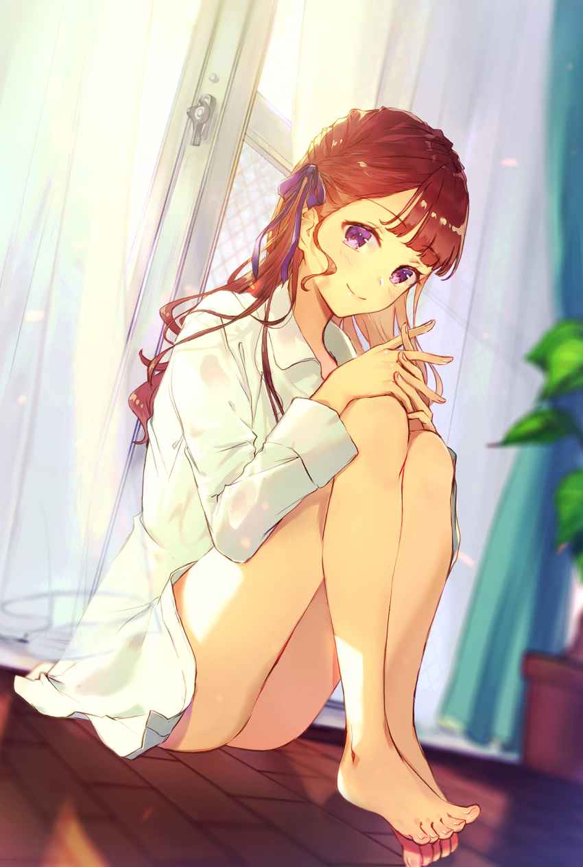 1girl ass bare_legs barefoot blurry brown_hair collared_shirt curtains day depth_of_field hair_ribbon highres indoors interlocked_fingers knees_up kusaka_kou long_hair long_sleeves looking_at_viewer no_pants on_floor original own_hands_together plant potted_plant ribbon shirt sitting smile solo sunlight violet_eyes white_shirt