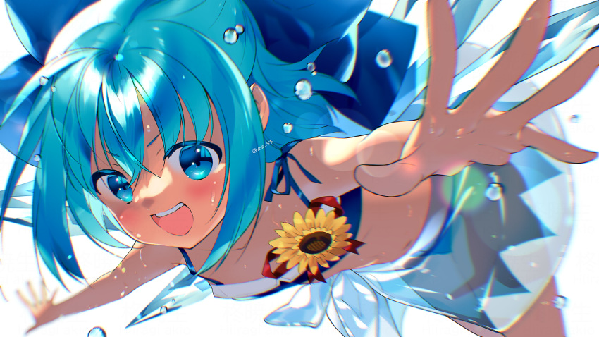 1girl bikini blue_bikini blue_bow blue_eyes blue_hair blush bow breasts bubble cirno commentary_request flower foreshortening hair_bow hiiragi_akio ice ice_wings lens_flare looking_at_viewer medium_hair open_mouth sarong see-through simple_background small_breasts smile solo sunflower swimsuit tan tanned_cirno touhou wet white_background wings
