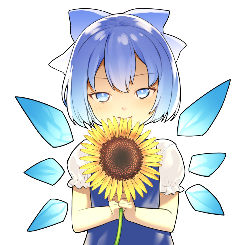 1girl aoi_tsunami bangs blue_bow blue_dress blue_eyes blue_hair blue_wings blush bow cirno closed_mouth commentary_request detached_wings dress eyebrows_visible_through_hair flower hair_bow highres holding holding_flower ice ice_wings looking_at_viewer puffy_short_sleeves puffy_sleeves shirt short_sleeves simple_background sleeveless sleeveless_dress solo sunflower touhou upper_body white_background white_shirt wings yellow_flower