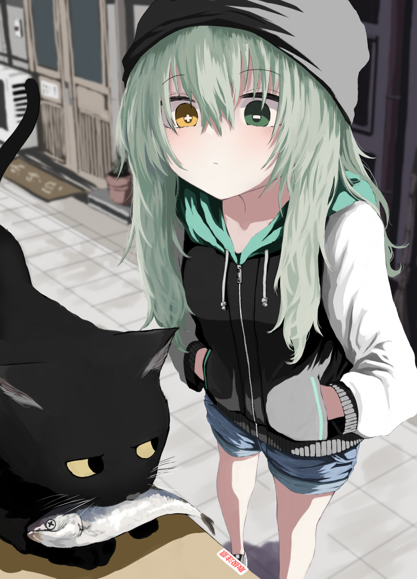 +_- 1girl absurdres beanie black_cat cat denim denim_shorts eating eyebrows_visible_through_hair fish fish_in_mouth green_eyes green_hair hair_between_eyes hands_in_pockets hat heterochromia highres hood hood_down hoodie kamatama kuso_zako_choroin_nishiga_hachi long_hair long_sleeves looking_at_another outdoors saiba_mirai sardine shoes shorts standing yellow_eyes