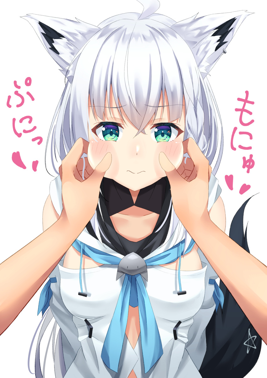 1girl absurdres animal_ears aqua_eyes blush cheek_pinching eyebrows_visible_through_hair fox_ears fox_girl highres hololive looking_at_viewer pinching shirakami_fubuki silver_hair starkamisan tagme