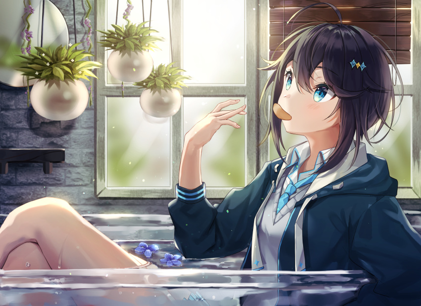 1girl ahoge aqua_eyes bangs black_hair blinds blue_jacket brick_wall cardigan chips collared_shirt crossed_legs eating flower food glass_table grey_cardigan hair_ornament hanging_plant highres indoors jacket kaon_(kaon_ll) leaf nijisanji plant potato_chips potted_plant shirt sidelocks sitting solo sorahoshi_kirame table thighs white_shirt window