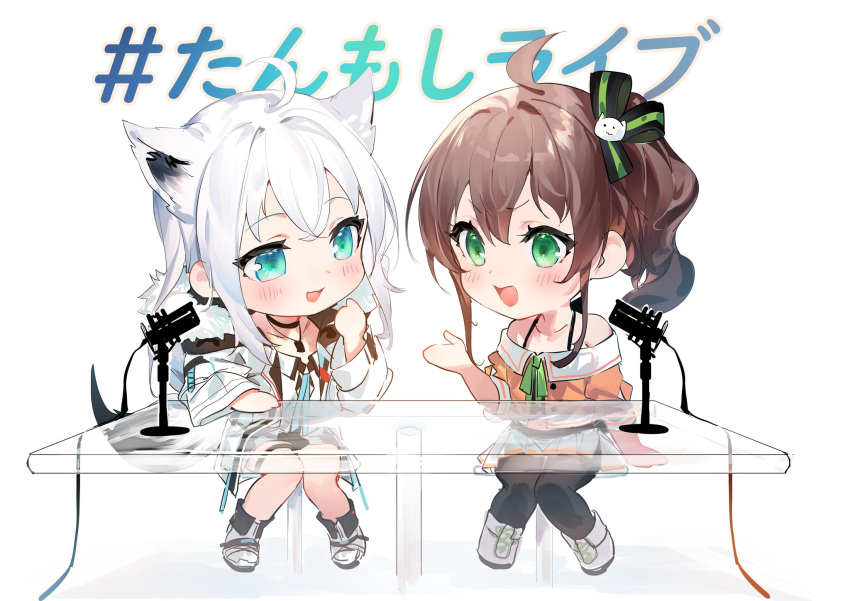 2girls ahoge animal_ears bangs bare_shoulders black_bra black_choker blush boots bra brown_hair chibi choker collarbone commentary_request dog_tags eyebrows_visible_through_hair fox_ears fox_girl fox_tail green_eyes hair_between_eyes hair_ribbon halterneck highres hololive jacket long_hair long_sleeves looking_at_another microphone microphone_stand multiple_girls natsuiro_matsuri off-shoulder_shirt off_shoulder open_clothes open_jacket open_mouth orange_shirt pantyhose ribbon shirakami_fubuki shirt sidelocks simple_background sitting table tail thigh_strap umibouzu_(niito) underwear virtual_youtuber white_background white_hair white_jacket white_shirt