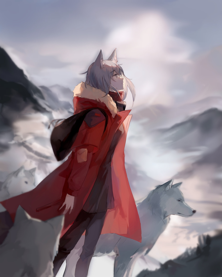 1girl animal animal_ears apple_da-ze arknights bag black_pants clouds grey_eyes highres hood hoodie long_sleeves looking_up mountain pants projekt_red_(arknights) shirt short_hair silver_hair sky solo standing tail wolf wolf_ears