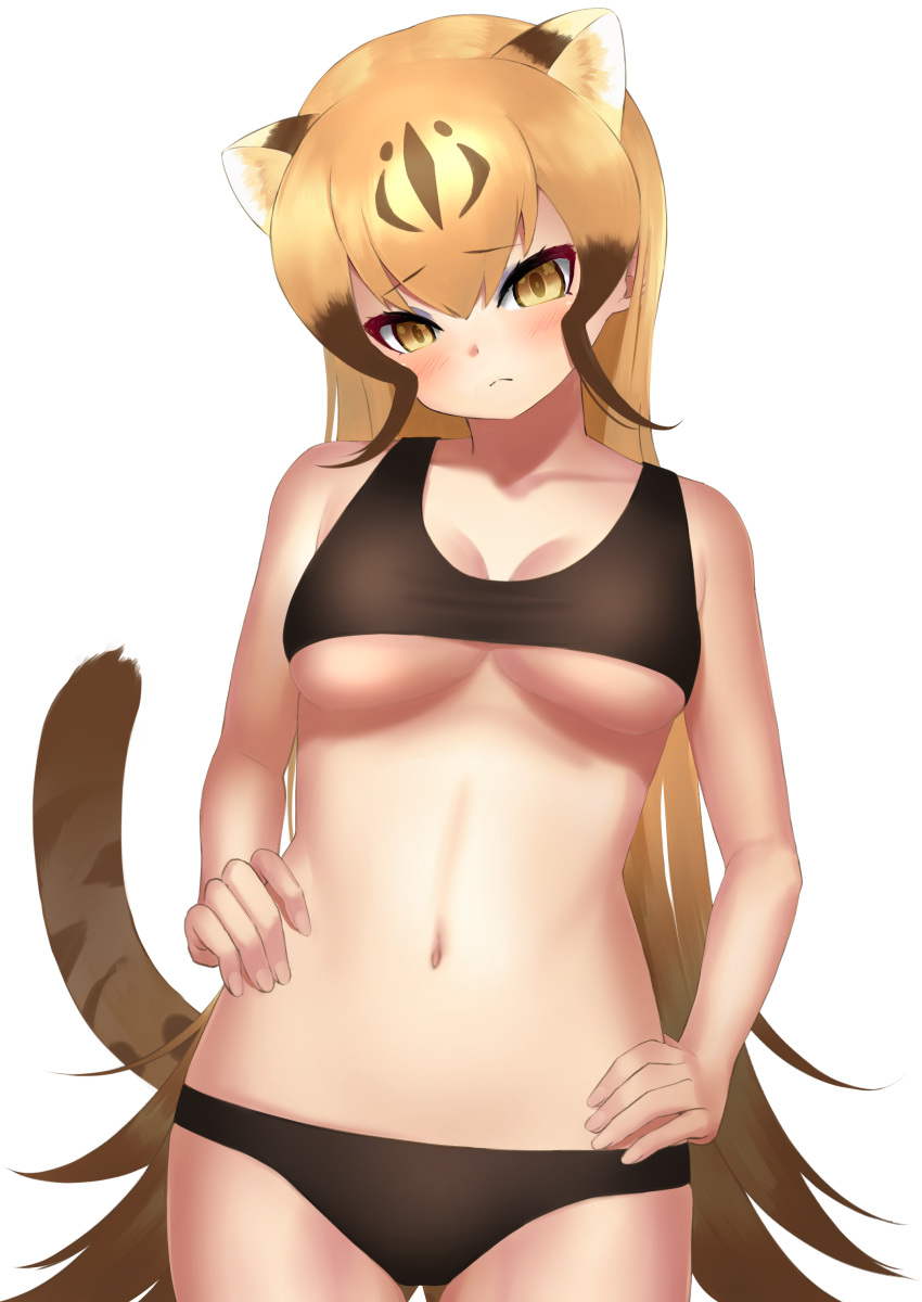 1girl absurdres animal_ear_fluff bangs bare_shoulders black_bra black_panties blonde_hair blush bra breasts brown_hair cheetah_(kemono_friends) cheetah_ears cheetah_tail collarbone cowboy_shot deku_suke extra_ears eyebrows_visible_through_hair frown gradient_hair hair_between_eyes hands_on_hips head_tilt highres kemono_friends large_breasts long_hair looking_at_viewer multicolored_hair navel panties simple_background solo sports_bra stomach tail under_boob underwear underwear_only very_long_hair white_background yellow_eyes