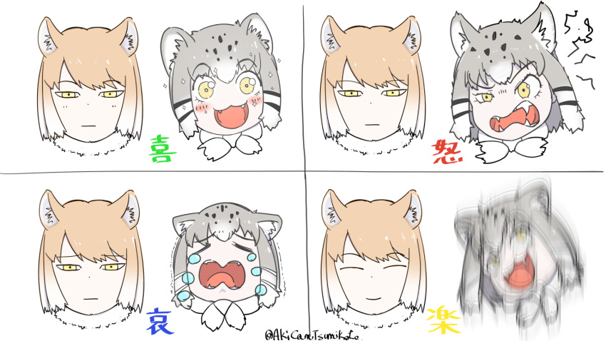 2girls :| ^_^ akicantsumikoto angry animal_ears bangs black_hair blush brown_hair cat_ears cat_girl closed_eyes closed_mouth crying crying_with_eyes_open expression_chart expressionless expressions eyebrows_visible_through_hair face fangs fox_ears fox_girl fur_collar furrowed_eyebrows grey_hair happy highres kemono_friends light_brown_hair light_smile medium_hair motion_blur multicolored_hair multiple_girls open_mouth pallas's_cat_(kemono_friends) parted_bangs sad smile tears tibetan_sand_fox_(kemono_friends) translation_request twitter_username two-tone_hair white_hair wide-eyed yellow_eyes