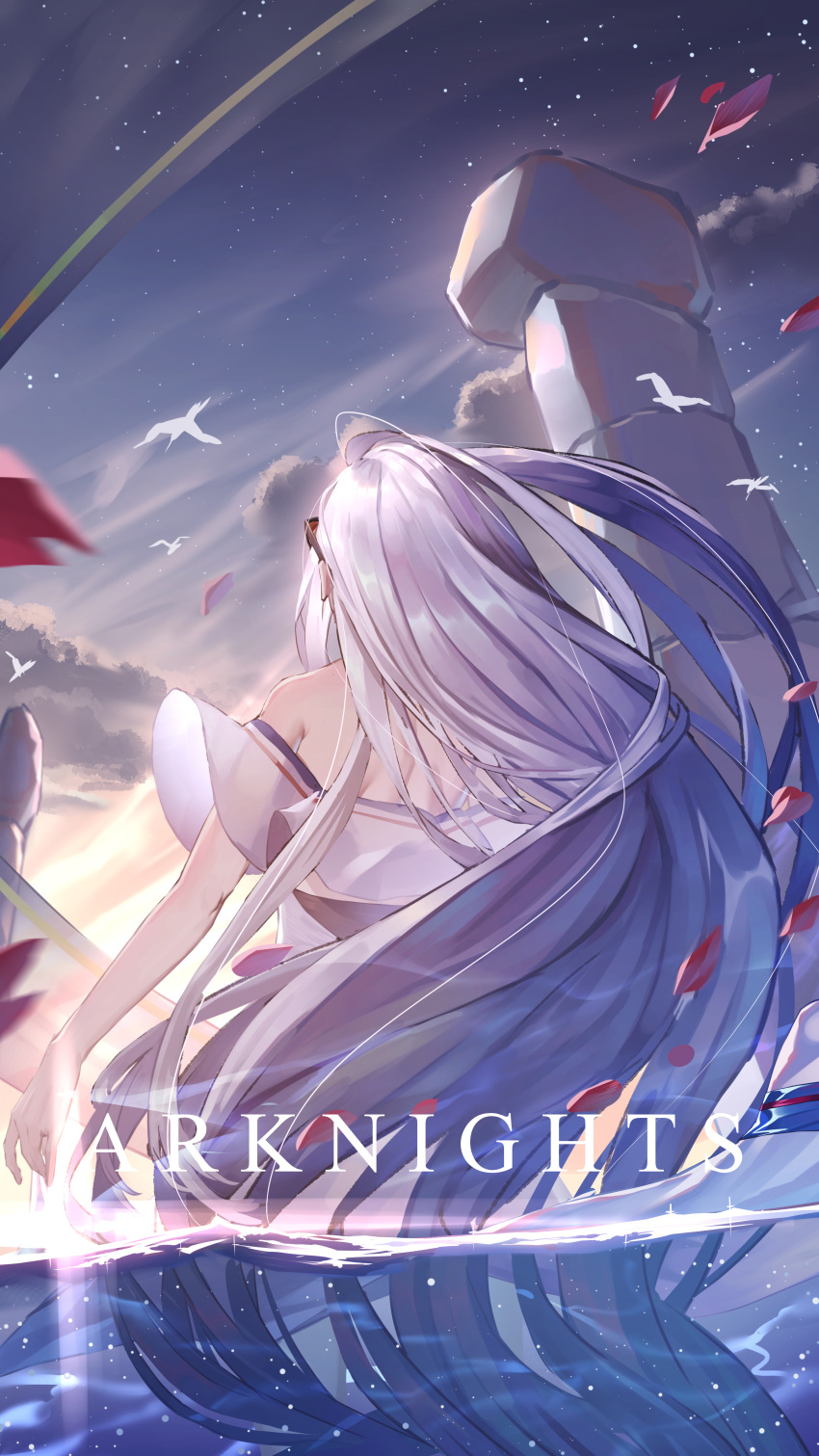 1girl absurdres arknights bare_shoulders chinese_commentary commentary_request from_behind highres long_hair night night_sky no_hat no_headwear outdoors silver_hair skadi_(arknights) sky solo star_(sky) starry_sky ten_no_hoshi very_long_hair water