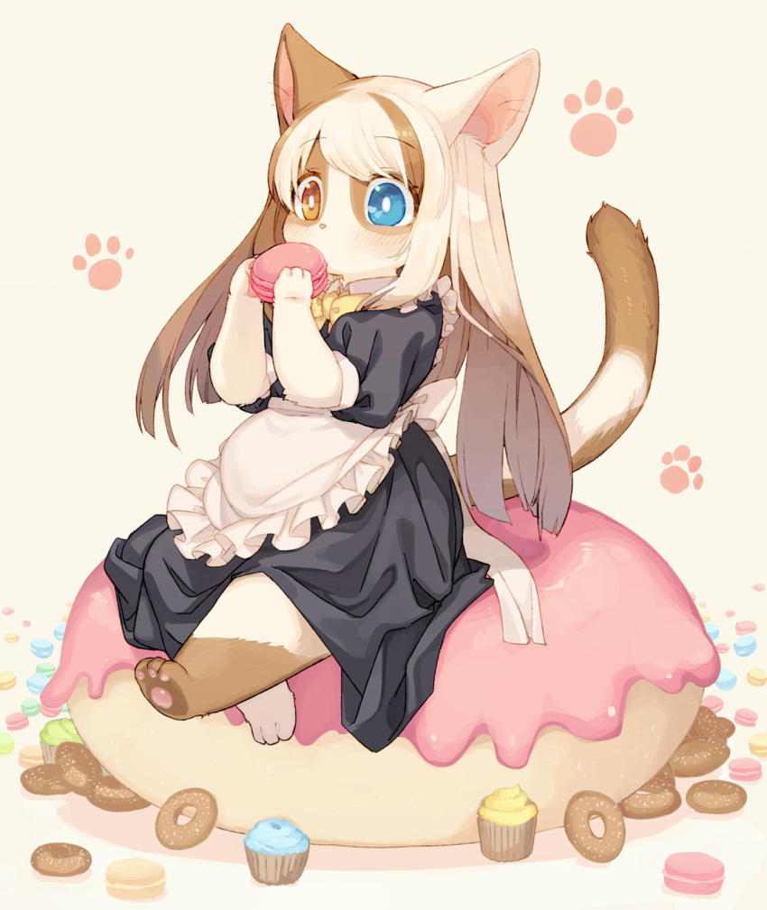 1girl animal_ears apron back_bow bangs barefoot beige_background black_dress blue_eyes blush bow bowtie brown_hair cat_ears cat_tail child commentary_request cupcake doughnut dress eating eyebrows_visible_through_hair flat_chest food full_body furry hands_up heterochromia highres holding kishibe long_hair macaron maid multicolored_hair orange_eyes original oversized_object paw_print pawpads paws puffy_short_sleeves puffy_sleeves shiny shiny_hair short_sleeves simple_background sitting solo streaked_hair tail two-tone_hair white_bow white_hair yellow_neckwear