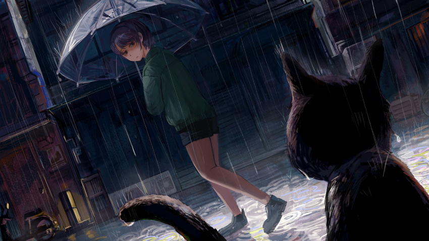 1girl animal bangs black_cat cat diva_(hyxpk) dutch_angle highres loafers looking_at_another night original rain shoes short_hair shorts umbrella walking