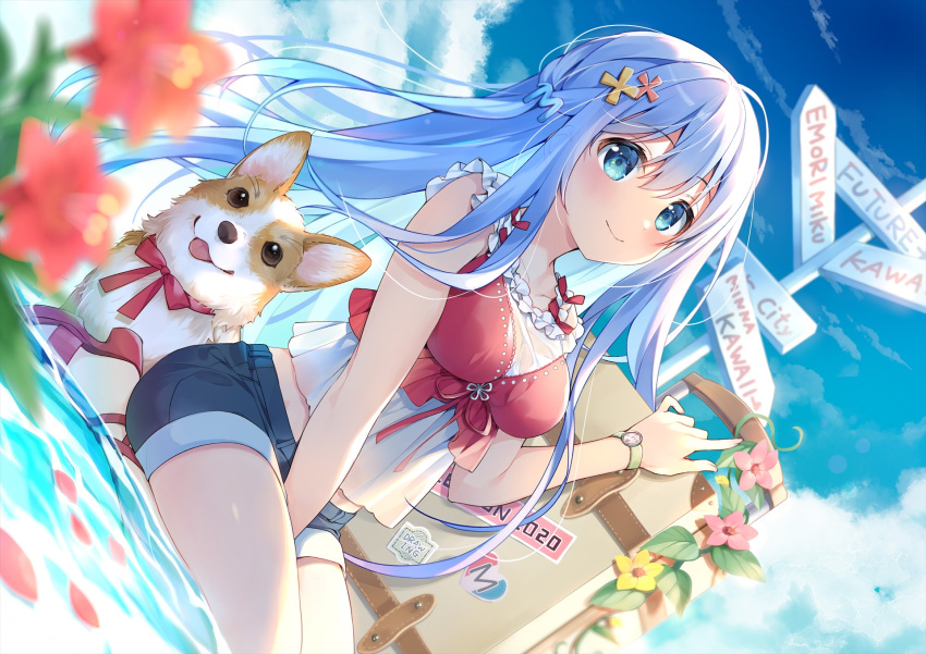 1girl animal bare_arms bare_shoulders between_legs blue_eyes blue_hair blue_shorts blue_sky blurry breasts day denim denim_shorts depth_of_field dog dutch_angle emori_miku emori_miku_project frilled_shirt frills hair_ornament highres long_hair looking_at_viewer medium_breasts midriff outdoors shirt short_shorts shorts sign sitting sky sleeveless sleeveless_shirt smile solo suimya watch watch water welsh_corgi white_shirt