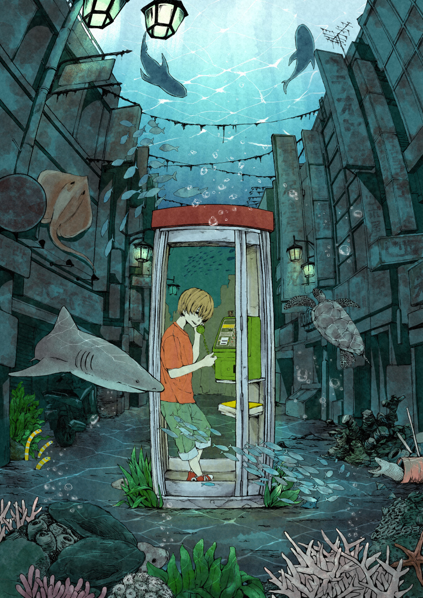 1boy absurdres air_bubble brown_hair bubble building commentary_request coral corded_phone eel fish green_pants ground_vehicle hair_over_eyes highres holding holding_phone igetarou lamppost motor_vehicle motorcycle ocean original pants pants_rolled_up phone phone_booth red_footwear red_shirt scenery shark shirt short_hair short_sleeves sign standing stingray turtle underwater