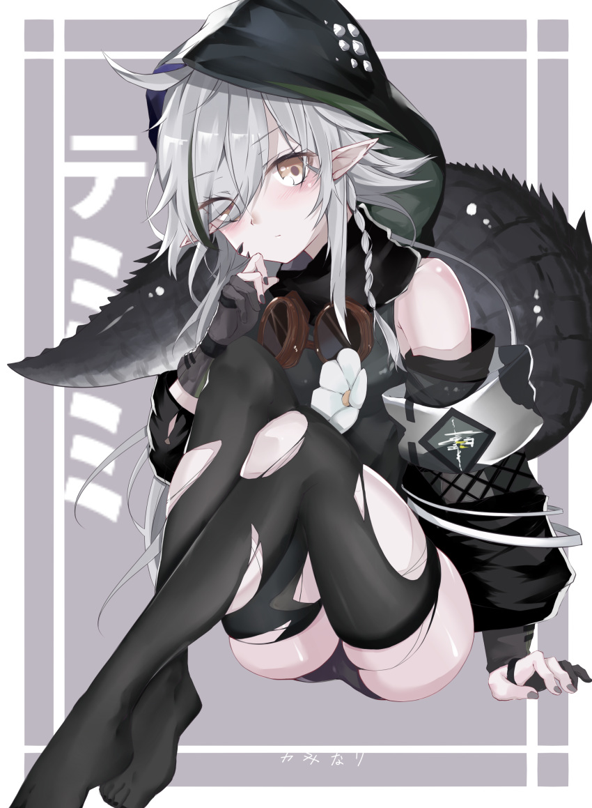 1girl absurdres arknights arm_support bangs bare_shoulders black_legwear braid character_name commentary crocodilian_tail eyebrows_visible_through_hair flower gloves grey_background grey_eyes grey_gloves hair_over_one_eye hand_up highres hood kaminarichyan knees_up large_tail long_hair long_sleeves looking_at_viewer no_shoes pointy_ears silver_hair single_braid sitting solo tail thigh-highs thighs tomimi_(arknights) torn_clothes torn_legwear translated white_flower