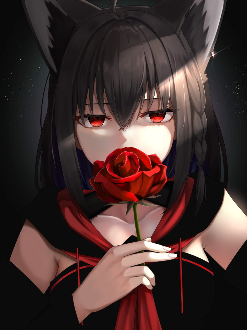 1girl absurdres ahoge animal_ears black_hair blank_stare braid collarbone detached_sleeves earrings expressionless flower flower_to_mouth fox_ears glint hair_between_eyes highres holding holding_flower hololive jewelry jitome kurokami_fubuki light_particles long_hair looking_at_viewer micon red_eyes red_flower red_rose rose side_braid sidelocks single_earring solo staring upper_body