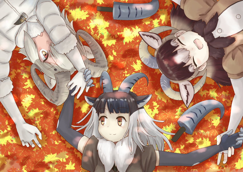 3girls ^_^ animal_ears autumn_leaves bangs black_hair blunt_bangs brown_hair closed_eyes closed_mouth dall_sheep_(kemono_friends) detached_sleeves elbow_gloves extra_ears eyebrows_visible_through_hair fingerless_gloves fur_collar fur_scarf gloves grey_hair hane_(kirschbaum) highres himalayan_tahr_(kemono_friends) holding_hands horizontal_pupils horns jacket kemono_friends leaf long_hair looking_at_another looking_to_the_side looking_up lying medium_hair mouflon_(kemono_friends) multiple_girls on_back open_mouth parted_bangs scarf sheep_girl sheep_horns short_sleeves sidelocks smile upper_body yellow_eyes