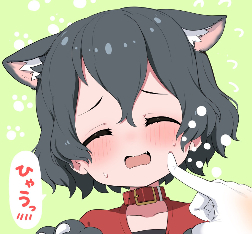 1girl animal_ears black_hair blush cat_ears cat_girl cheek_poking closed_eyes collar commentary_request disembodied_limb extra_ears fang highres kaban_(kemono_friends) kemono_friends kemonomimi_mode no_hat no_headwear poking ransusan red_collar short_hair sweatdrop translation_request wavy_mouth