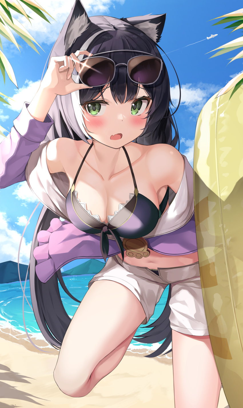 1girl absurdres animal_ear_fluff animal_ears apple_ringo arm_up bare_shoulders beach bent_over bikini black_bikini black_hair cat_ears clouds collarbone day eyewear_on_head fang green_eyes halterneck hand_on_eyewear highres jacket karyl_(princess_connect!) long_hair long_sleeves looking_at_viewer low_twintails multicolored_hair navel off_shoulder open_fly open_mouth outdoors princess_connect! princess_connect!_re:dive purple_jacket short_shorts shorts solo streaked_hair sunglasses sunlight swimsuit twintails very_long_hair white_shorts