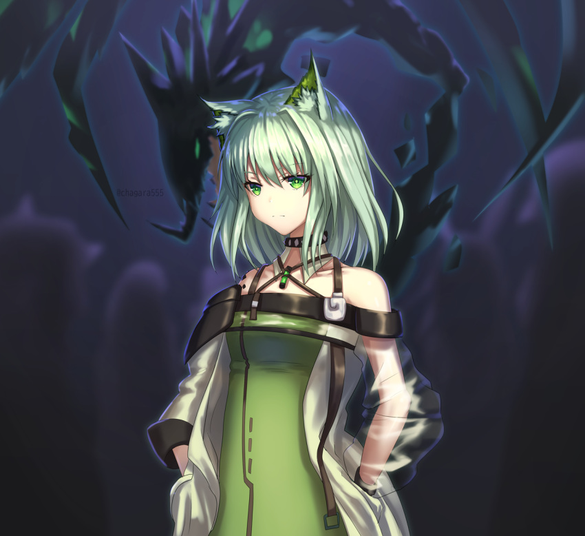 1girl animal_ear_fluff animal_ears arknights artist_name bangs bare_shoulders black_choker breasts cat_ears chagara choker closed_mouth collarbone commentary_request dress eyebrows_visible_through_hair green_dress green_eyes hands_in_pockets highres jacket kal'tsit_(arknights) long_sleeves looking_at_viewer medium_breasts medium_hair see-through_silhouette short_hair silver_hair solo standing tagme upper_body white_jacket