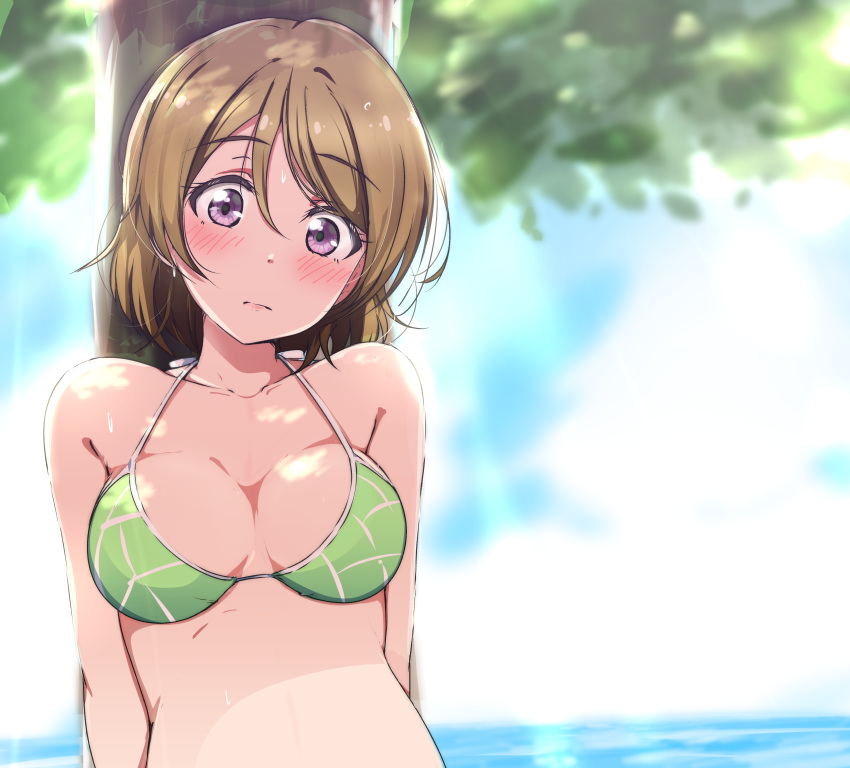 1girl absurdres ankoiri bare_shoulders bikini blurry blurry_background blush breasts brown_hair closed_mouth collarbone ear eyebrows_visible_through_hair green_bikini halterneck highres koizumi_hanayo love_live! love_live!_school_idol_project medium_breasts outdoors short_hair solo string_bikini string_bikini_top sweat swimsuit tree upper_body violet_eyes water