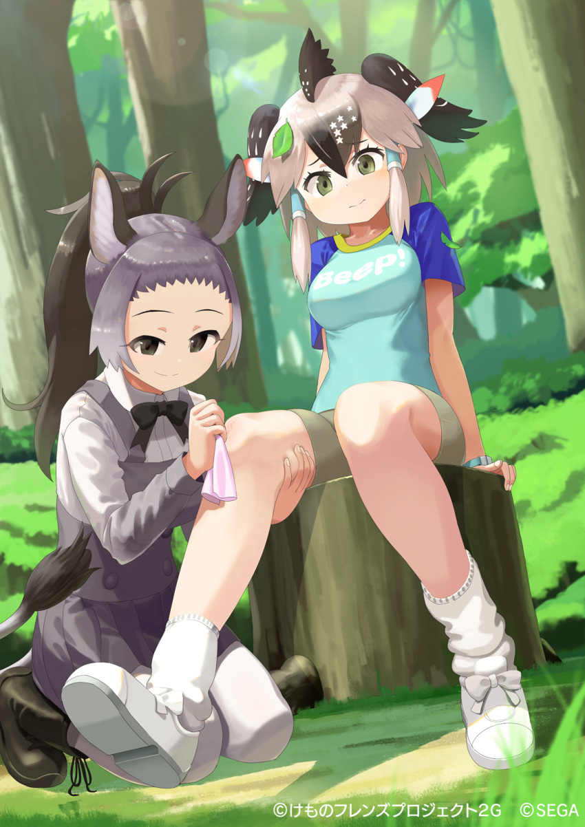 2girls animal_ears antenna_hair autism_wanderer bare_arms bare_legs bike_shorts black_eyes black_hair boots bow bowtie brown_hair closed_mouth clothes_writing collarbone collared_shirt company_name copyright cuts day donkey_(kemono_friends) donkey_ears donkey_tail dutch_angle eyebrows_visible_through_hair forehead full_body furrowed_eyebrows grass greater_roadrunner_(kemono_friends) green_eyes grey_hair hair_between_eyes hair_tubes hand_on_another's_leg handkerchief high_ponytail highres injury kemono_friends kneeling leaf leaf_on_head long_hair long_sleeves looking_at_another looking_down medium_hair multicolored_hair multiple_girls official_art outdoors pantyhose shirt shoes short_sleeves sidelocks sitting skirt smile socks t-shirt tail tree tree_stump vest watermark wing_collar