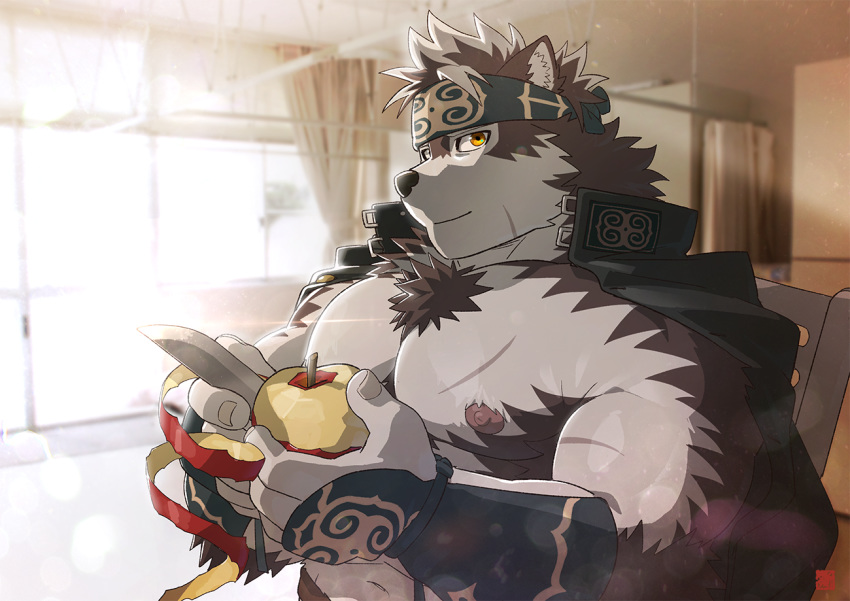 1boy abs animal_ears apple bara body_hair brown_fur bulge chest dog_boy dog_ears facial_hair food fruit furry grey_fur horkeu_kamui_(tokyo_houkago_summoners) male_focus manly muscle navel nipples pectorals peeling revealing_clothes rossciaco shirtless short_hair solo thick_thighs thighs tokyo_houkago_summoners two-tone_fur upper_body