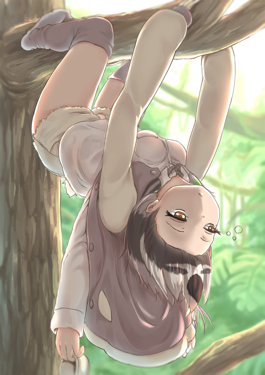 1girl :/ black_hair buttons closed_mouth cutoffs day forehead grey_hair half-closed_eyes hanging highres holding holding_shoes in_tree jacket kemono_friends long_sleeves loose_thighhigh multicolored_hair okyao open_clothes open_jacket outdoors outstretched_arms shirt shoes shoes_removed short_hair short_shorts shorts sleepy sloth_(kemono_friends) sloth_girl sloth_tail solo tail thigh-highs tree tree_branch unbuttoned upside-down white_hair yellow_eyes