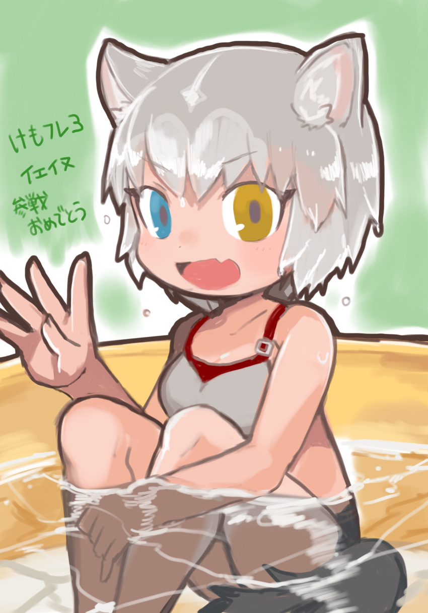1girl animal_ears blue_eyes buchi0122 dog_(mixed_breed)_(kemono_friends) dog_ears dog_tail fang grey_hair heterochromia highres kemono_friends knees_up looking_at_viewer multicolored_hair partially_submerged pool short_hair sitting skin_fang tail translation_request two-tone_hair waving wet white_background yellow_eyes