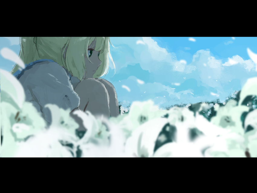 1girl bangs blonde_hair closed_mouth clouds commentary day field flower flower_field green_eyes highres legs_together letterboxed lillie_(pokemon) long_hair melon_syrup outdoors petals pokemon pokemon_(game) pokemon_sm short_sleeves sitting sky solo tied_hair