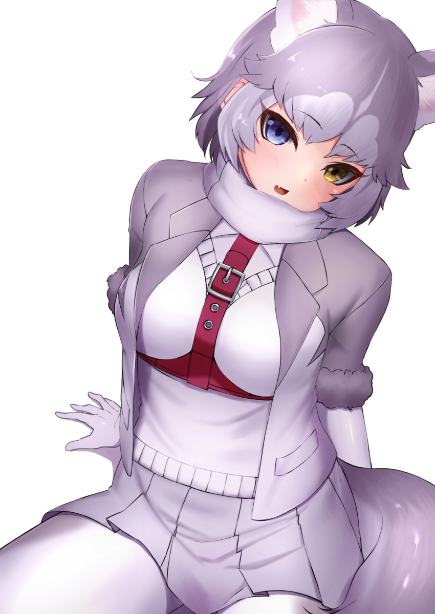 1girl animal_ears bangs blue_eyes bodystocking deku_suke dog_(mixed_breed)_(kemono_friends) dog_ears dog_girl dog_tail extra_ears eyebrows_visible_through_hair fang grey_hair harness head_tilt heterochromia highres jacket kemono_friends looking_at_viewer miniskirt multicolored_hair open_clothes open_jacket open_mouth pocket short_hair sidelocks simple_background sitting skirt solo sweater_vest tail two-tone_hair white_background yellow_eyes