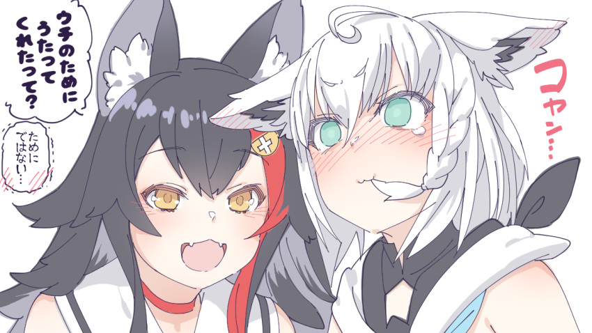 2girls ahoge animal_ear_fluff animal_ears bangs bare_shoulders black_hair blank_eyes blush chinese_commentary choker commentary_request eyebrows_visible_through_hair fangs fox_ears fox_girl green_eyes hair_between_eyes hair_in_mouth hair_ornament hairclip hololive long_hair looking_at_another multicolored_hair multiple_girls ookami_mio open_mouth red_choker redhead shirakami_fubuki sidelocks simple_background tataki_tuna translation_request two-tone_hair upper_body virtual_youtuber white_background white_hair white_hoodie wolf_ears wolf_girl yellow_eyes