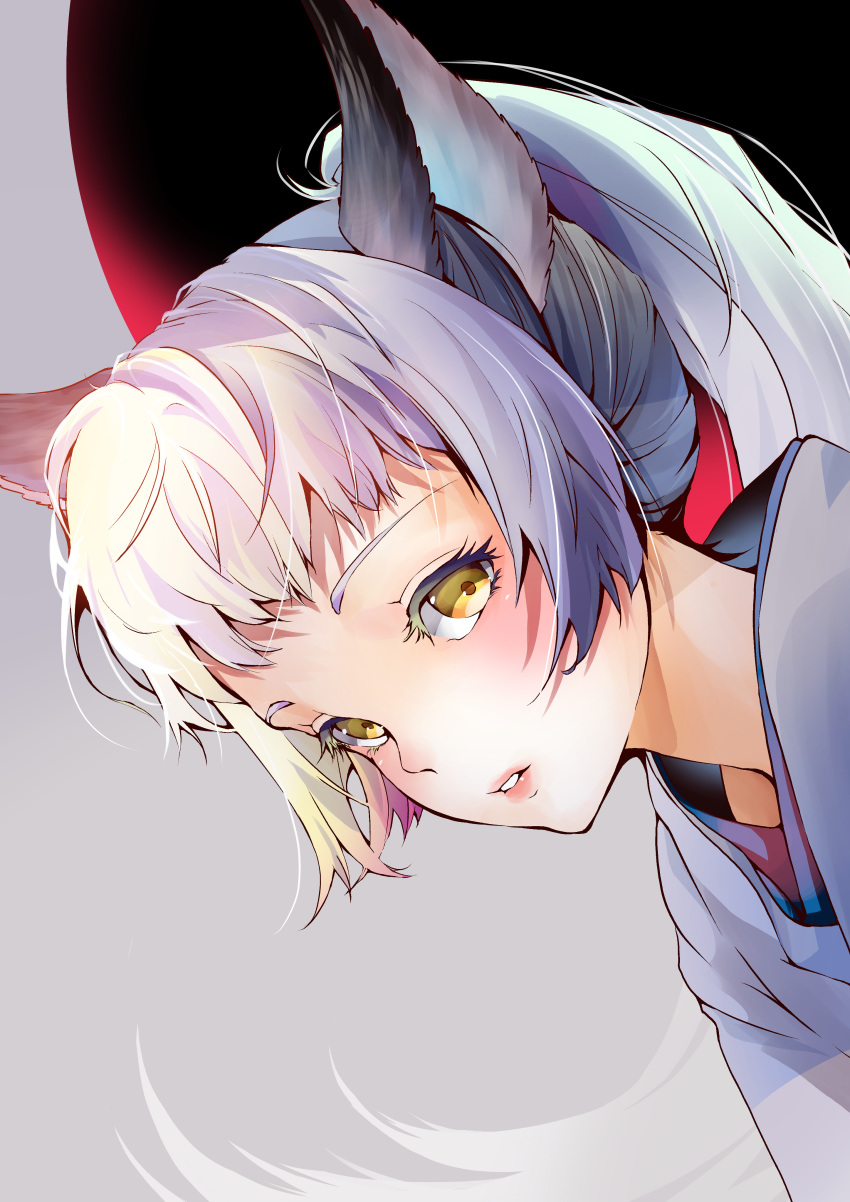 1girl absurdres animal_ears aomi_genba bangs blonde_hair commentary_request dutch_angle eyelashes grey_background grey_hair highres lipstick long_hair looking_at_viewer makeup multicolored_hair original parted_lips partial_commentary pink_hair ponytail portrait sidelocks silver_hair solo streaked_hair wolf_ears yellow_eyes