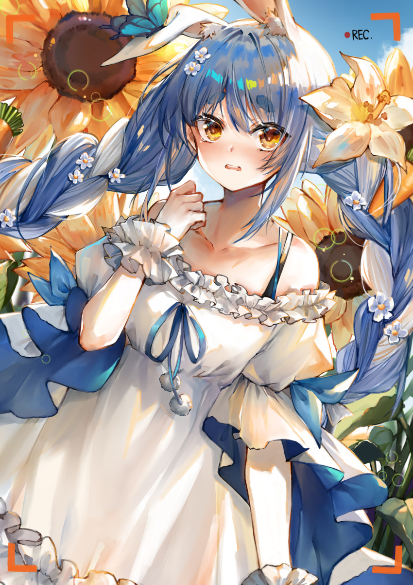 1girl absurdres bangs bare_shoulders blue_hair blue_ribbon blush bra_strap braid collarbone commentary_request cowboy_shot dress eyebrows_visible_through_hair flower frilled_dress frills hair_flower hair_ornament highres hololive long_hair long_sleeves looking_at_viewer nose_blush off-shoulder_dress off_shoulder orange_eyes parted_lips pom_pom_(clothes) ribbon ryuuji_teitoku solo sunflower thick_eyebrows twin_braids usada_pekora very_long_hair viewfinder virtual_youtuber white_dress white_flower white_hair wide_sleeves yellow_flower