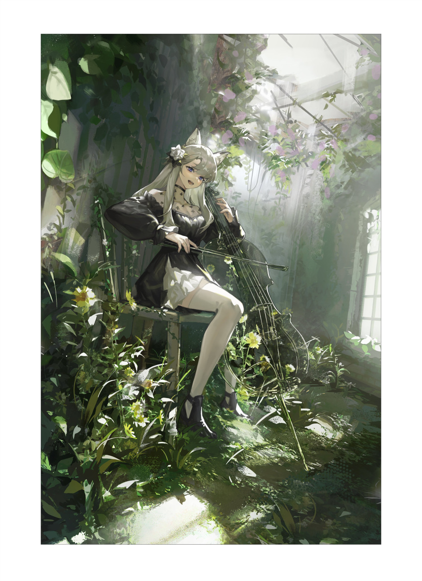 14sky 1girl absurdres animal_ears arknights black_footwear chair commentary_request conservatory flower garden greenhouse hair_flower hair_ornament hanging_plant heavyrain_(arknights) heavyrain_(tranquil_moss)_(arknights) highres holding holding_instrument indoors instrument long_hair long_sleeves looking_at_viewer music plant playing_instrument potted_plant scenery sitting solo sunlight violin white_hair white_legwear window