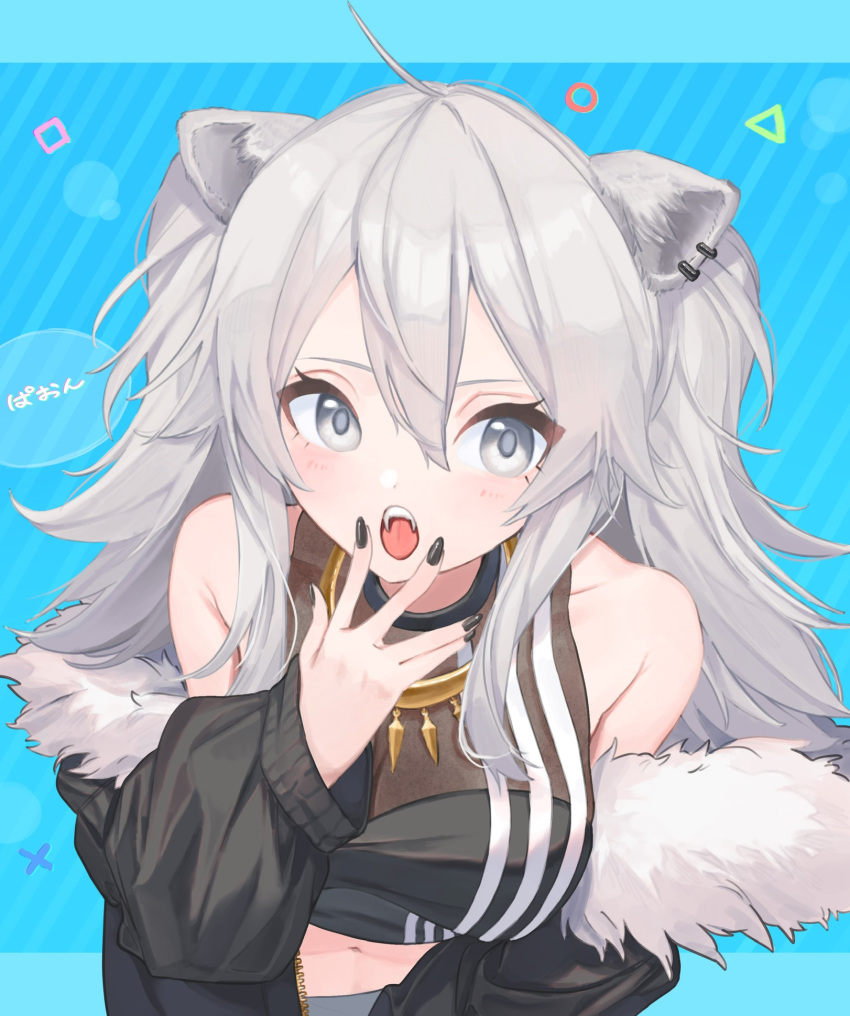 1girl ahoge animal_ears black_jacket black_nails black_shirt blue_background blush breasts character_name commentary earrings eyelashes fangs from_above fur-trimmed_jacket fur_trim grey_eyes hair_between_eyes hand_to_own_mouth highres hololive jacket jewelry lion_ears long_hair looking_at_viewer medium_breasts midriff nail_polish navel necklace off_shoulder open_clothes open_jacket open_mouth seisei_tamago shirt shishiro_botan silver_hair simple_background sleeveless sleeveless_shirt solo upper_body virtual_youtuber