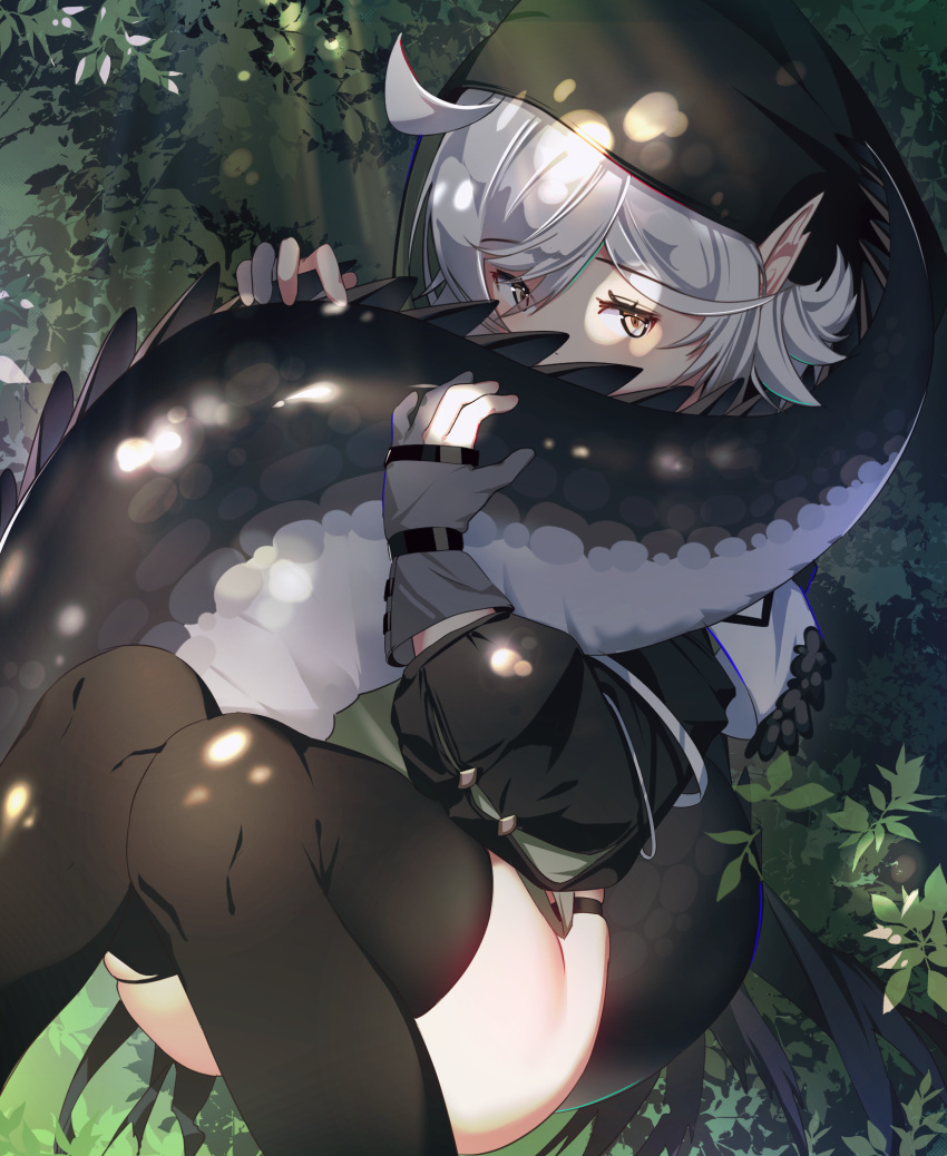 1girl ahoge arknights bangs black_legwear commentary crocodilian_tail dai_nikucho eyebrows_visible_through_hair fingerless_gloves forest gloves highres holding_tail hood jacket large_tail long_sleeves looking_at_viewer nature pointy_ears silver_hair sitting solo tail thigh-highs thighs tomimi_(arknights) torn_clothes torn_legwear tree yellow_eyes
