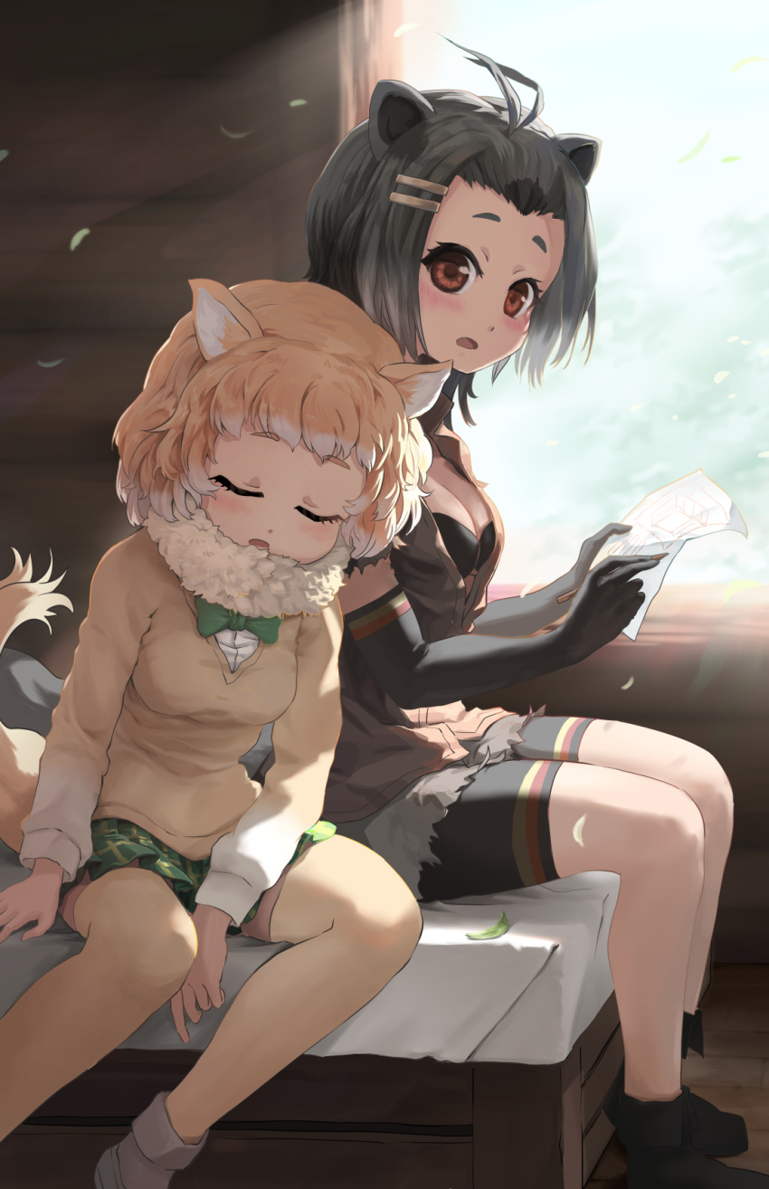 2girls american_beaver_(kemono_friends) animal_ears antenna_hair arm_rest bangs bare_legs beaver_ears beaver_tail bike_shorts bike_shorts_under_shorts black-tailed_prairie_dog_(kemono_friends) black_hair blush bow bowtie bra brown_eyes brown_hair closed_eyes commentary_request cutoffs day elbow_gloves eyebrows_visible_through_hair fur_collar gloves grey_hair hair_ornament hairclip hands_up head_on_another's_shoulder head_on_shoulder highres holding holding_paper holding_pencil indoors kemono_friends leaf leaning_on_person leaning_to_the_side light_brown_hair long_sleeves looking_at_another medium_hair meraton miniskirt multicolored_hair multiple_girls open_mouth paper pencil plaid plaid_skirt prairie_dog_ears prairie_dog_tail shorts shorts_under_shorts side-by-side sitting skirt sleeping sleeping_on_person sleeping_upright sweater tail thigh-highs two-tone_hair underwear vest white_hair wind window wooden_pencil zettai_ryouiki