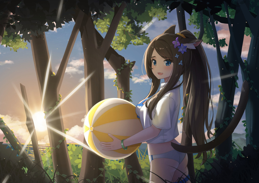 1girl animal_ear_fluff animal_ears ball bangs beachball bikini black_hair blue_eyes blush bracelet breasts cat_ears cat_tail cropped_shirt eyebrows_visible_through_hair flower hair_flower hair_ornament highres horizon jewelry long_hair medium_breasts nekoze_(s22834712) open_clothes open_shirt original outdoors parted_bangs ponytail profile solo sunset swimsuit tail thigh_strap tree tu_ya_(nekoze)