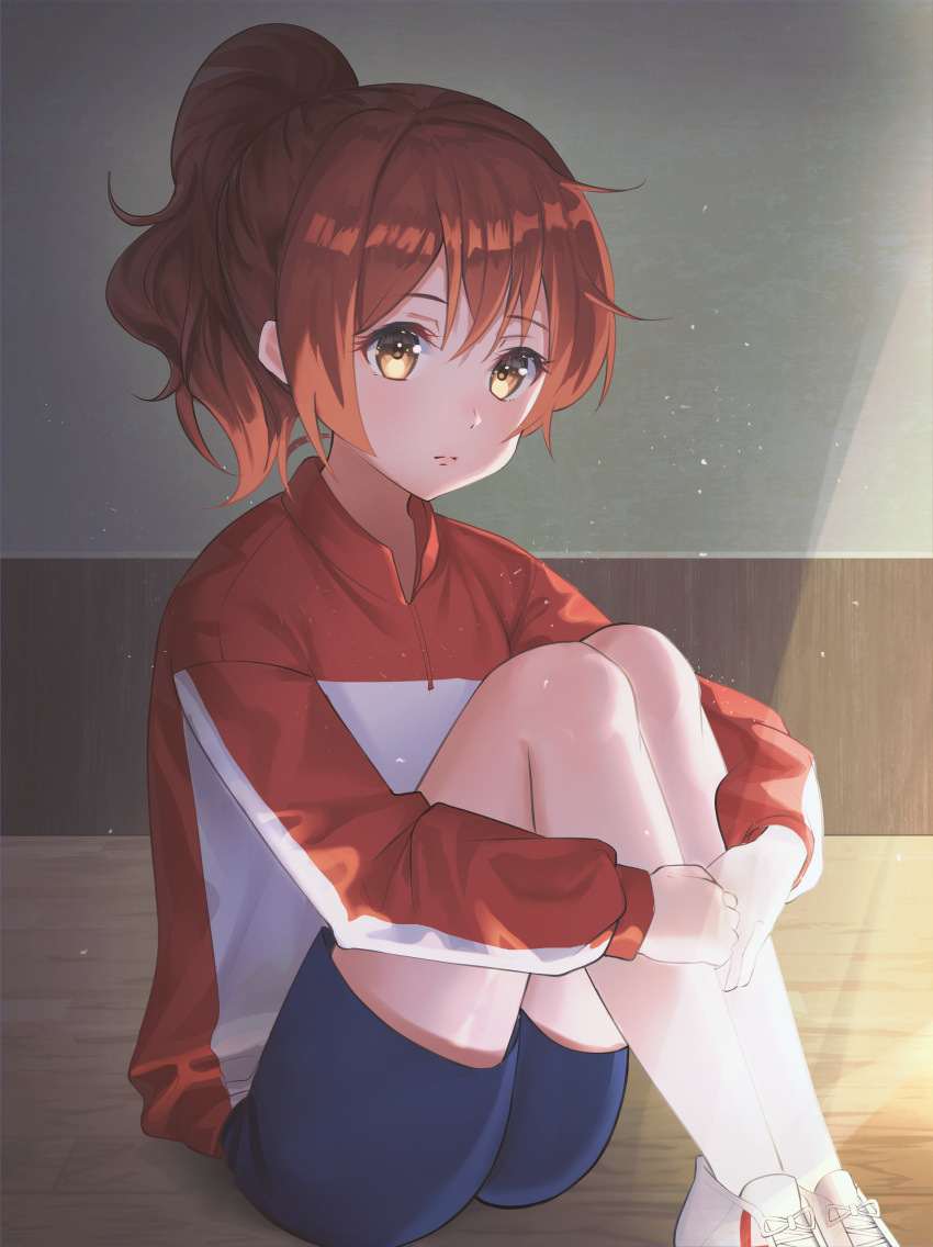 1girl absurdres aergia_c blue_shorts brown_eyes brown_hair closed_mouth expressionless gym_uniform hands_together hibike!_euphonium highres huge_filesize jacket knees_up legs_together long_sleeves looking_at_viewer medium_hair oumae_kumiko ponytail shoes shorts sitting sneakers solo sunlight uniform