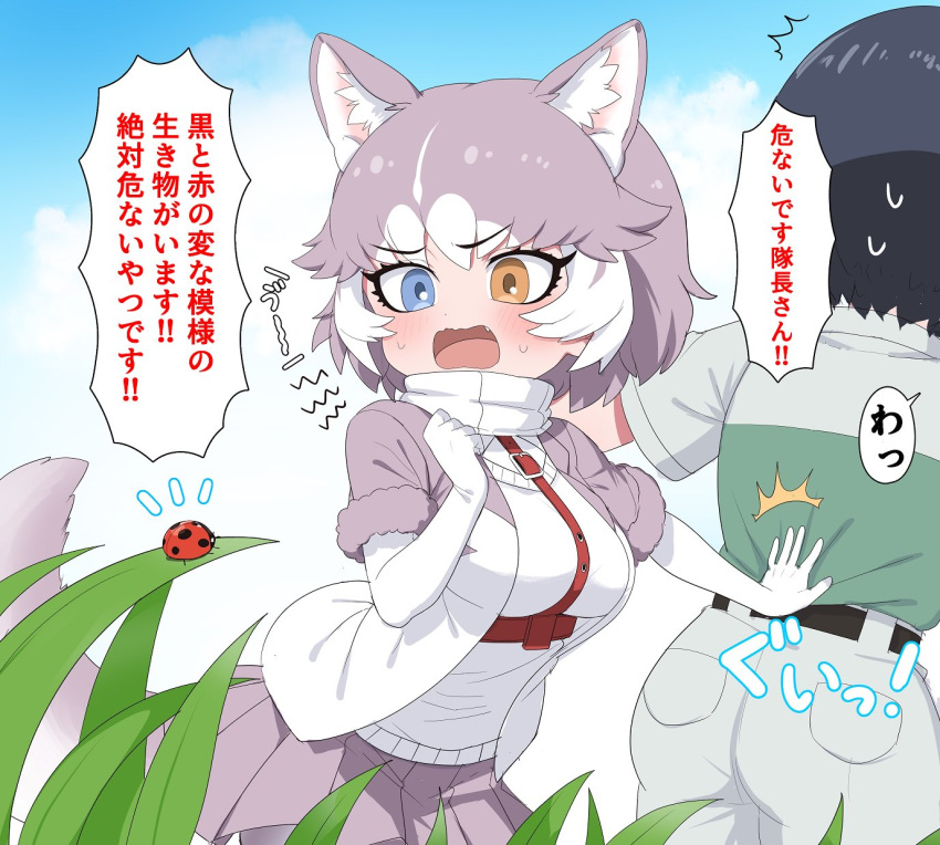 1girl 1other animal_ears belt blue_eyes blush bug captain_(kemono_friends) commentary_request dog_(mixed_breed)_(kemono_friends) dog_ears dog_girl dog_tail elbow_gloves eyebrows_visible_through_hair fang gloves grey_hair grey_jacket grey_skirt harness heterochromia highres insect jacket kemono_friends kemono_friends_3 ladybug multicolored_hair open_mouth pleated_skirt ransusan scarf short_hair short_sleeves skirt sweatdrop sweater tail translation_request uniform white_gloves white_hair white_scarf white_sweater yellow_eyes