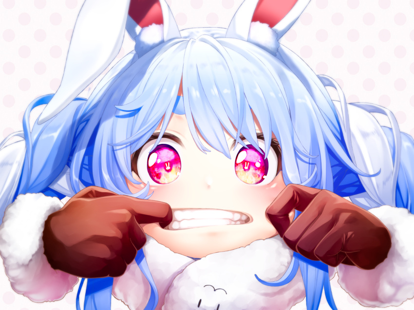 1girl animal_ear_fluff animal_ears animal_print blue_hair bunny_girl bunny_print cheek_pinching eyebrows fenrir_(fenlil0316) finger_in_mouth gloves highres hololive looking_at_viewer open_mouth pinching polka_dot polka_dot_background rabbit_ears scarf solo stretching_cheeks symbol-shaped_pupils teeth usada_pekora virtual_youtuber